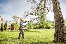 Forestville, OH Tree Care Company